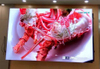 P1.25 Small Pixel Pitch HD Led Video Screen 400*300mm Display Panel 
