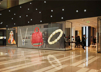 Indoor 3.91x7.8mm Mesh Design Transparent Led Video Screen for Glass Window Mall Store